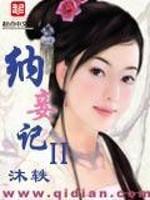 纳妾记ii