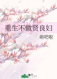 重生不做贤良妇